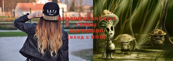 прущий лед Армянск