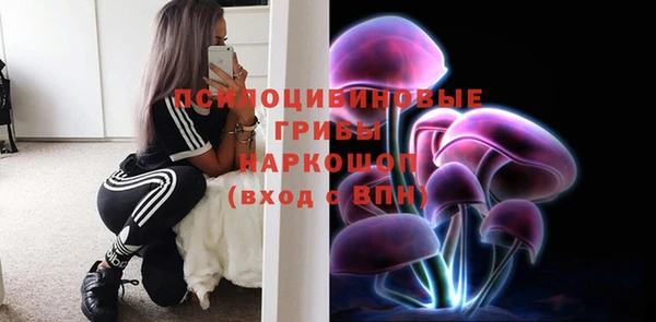 гидропоника Алексин