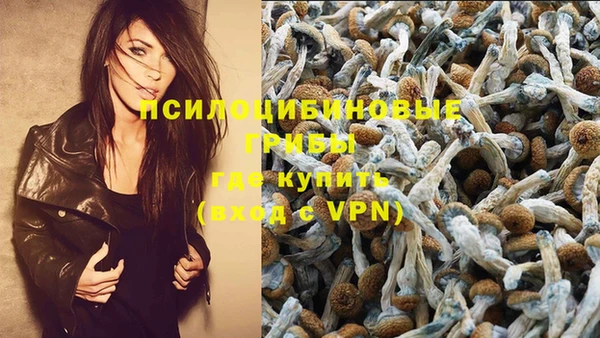 прущий лед Армянск