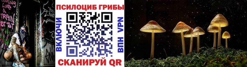 Галлюциногенные грибы ЛСД  Великие Луки 
